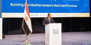 إيني الإيطالية: البنية التحتية المصرية تسرع تنمية موارد الغاز القبرصي في منطقة البحر المتوسط