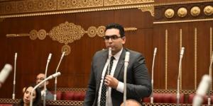 عضو «آثار وسياحة الشيوخ»: بناء الوعى مسؤولية مشتركة لمواجهة التضليل وحماية مصر :اليوم السابع