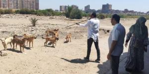 ثلاثة ضوابط قانونية لحيازة الحيوانات الخطرة والكلاب