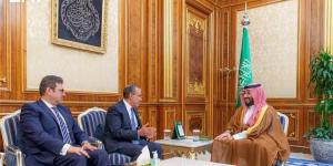 النائب مصطفى بكري يكشف تفاصيل لقاء وزير خارجية مصر مع ولي العهد السعودية
