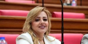 عضو بخارجية النواب: سيادة مصر على كامل أراضيها خط أحمر :اليوم السابع