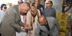 محافظ جنوب سيناء يتفقد معصرة زيت الزيتون بأبوصويرة في رأس سدر :اليوم السابع