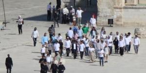 هيئة الجدار والاستيطان: 409 اعتداءات للاحتلال والمستوطنين ضد مزارعى الزيتون :اليوم السابع