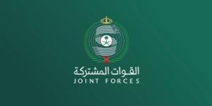 "تحالف دعم الشرعية باليمن": تدمير مسيرة باتجاه المنطقة الجنوبية :اليوم السابع