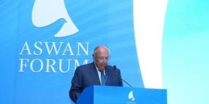 سامح شكرى: العلاقات المصرية السعودية وثيقة والتنسيق يستهدف مصالح الأمة :اليوم السابع