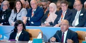 أسامة الشاهد: توجيهات القيادة السياسية تُرسخ الشفافية وتدعم التنمية الإنتاجية :اليوم السابع