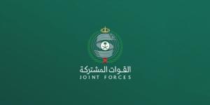 المالكي يفنّد مزاعم الحوثيين بشأن استهداف التجمعات القبلية ويحذر من مخططات إثارة الفتنة بين اليمنيين والسعوديين