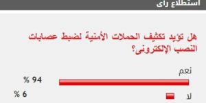 %94 من القراء يؤيدون تكثيف الحملات الأمنية لضبط عصابات النصب الإلكترونى :اليوم السابع
