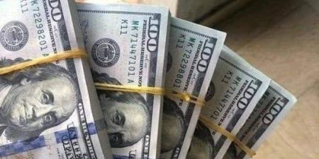 سعر الدولار يواصل الارتفاع أمام الجنيه فى منتصف تعاملات اليوم :اليوم السابع