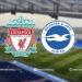 يلا شوت بث مباشر ليفربول وبرايتون في الجولة 8 من الدوري الإنجليزي