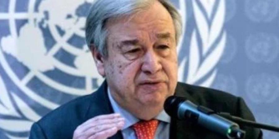 جوتيريش يناقش مع رئيس إندونيسيا الوضع في الأراضي الفلسطينية المحتلة