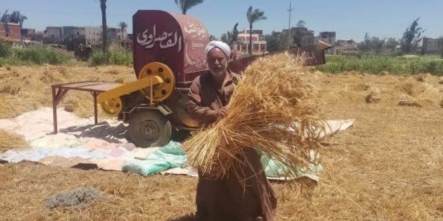 قبل زراعة القمح.. لماذا يمثل توقيت الزراعة عاملًا حاسمًا فى الموسم الجديد؟ :اليوم السابع