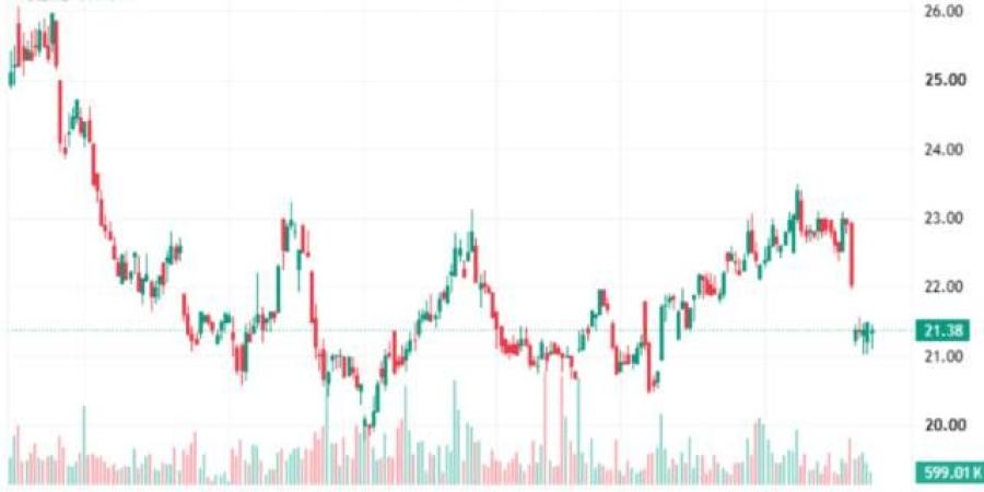 سهم "العربي الوطني" يقترب من دعم 19.95 ريال وسط ضغوط بيعية