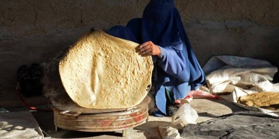 19.2 مليون أفغاني مهددون بانعدام حاد في الأمن الغذائي بحلول أبريل 2027