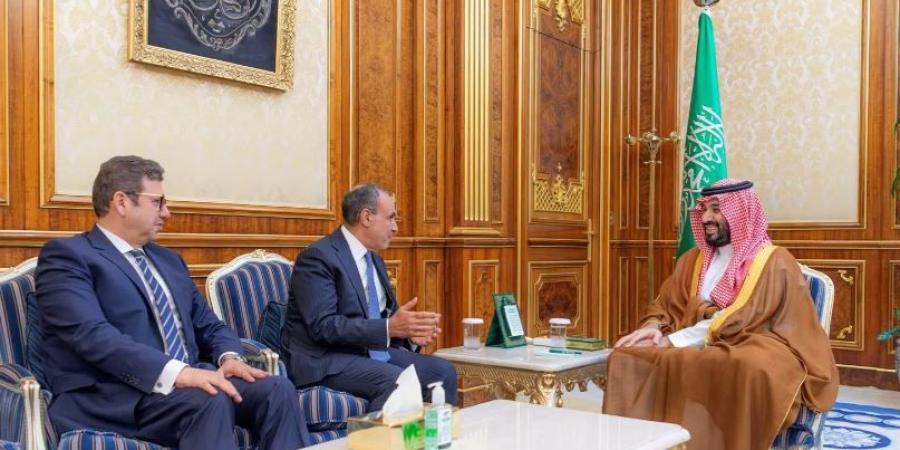 وزير الخارجية يسلم ولي العهد السعودي رسالة خطية من الرئيس السيسي