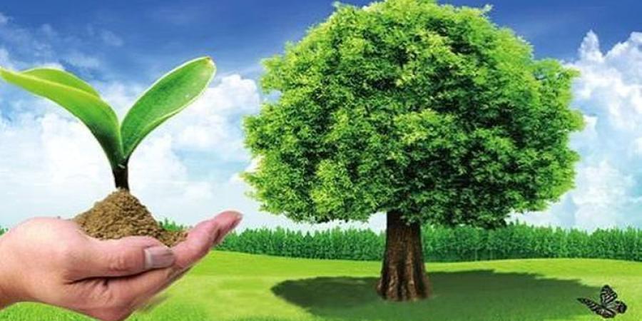 خبراء يؤكدون أن الأمن الغذائي يتطلب رفع إنتاجية الفدان وتحسين كفاءة الأرض والمياه