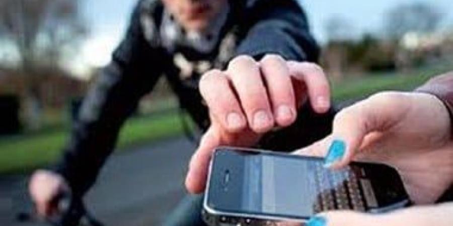 الداخلية تضبط طالبين متهمين بسرقة هاتف فتاة فى المنوفية :اليوم السابع