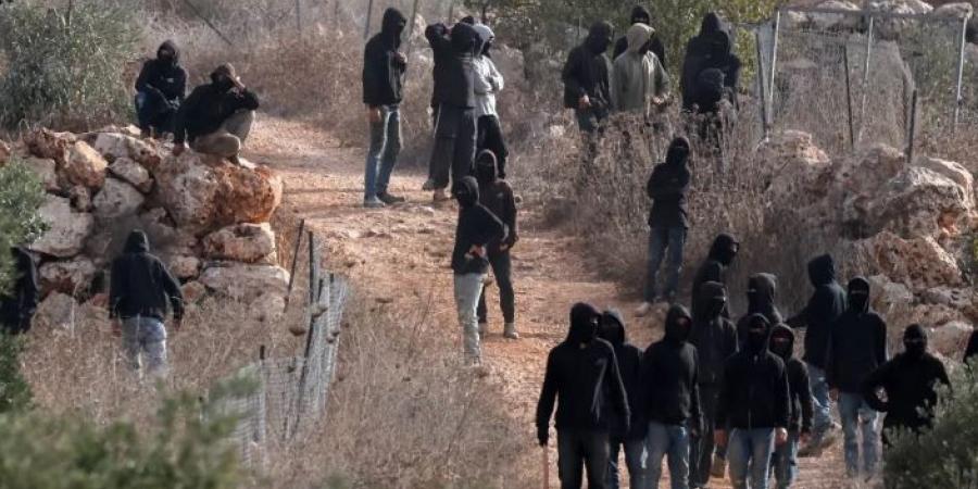 الضفة.. 409 اعتداءات إسرائيلية على مزارعي الزيتون خلال 21 يوما