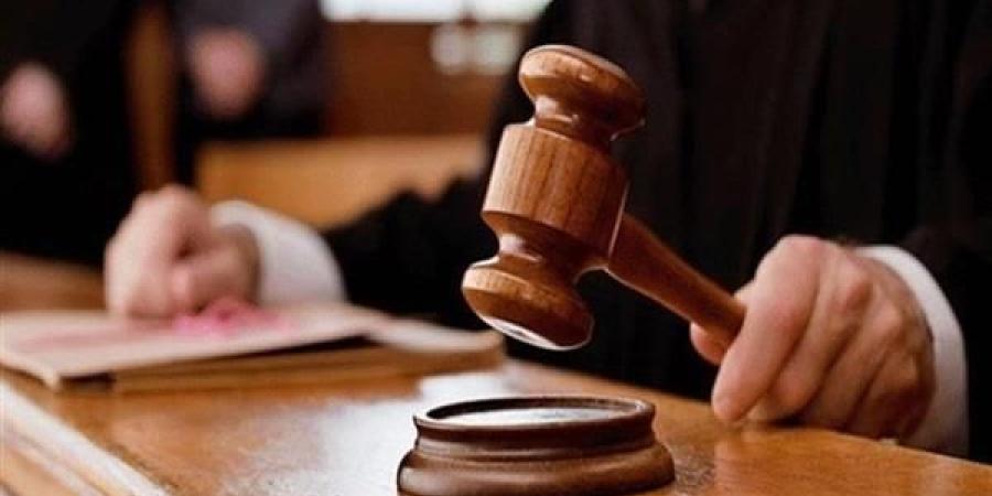 إحالة أوراق المتهم الثاني بالاعتداء على 4 طلاب بمدرسة دولية في الإسكندرية للمفتي