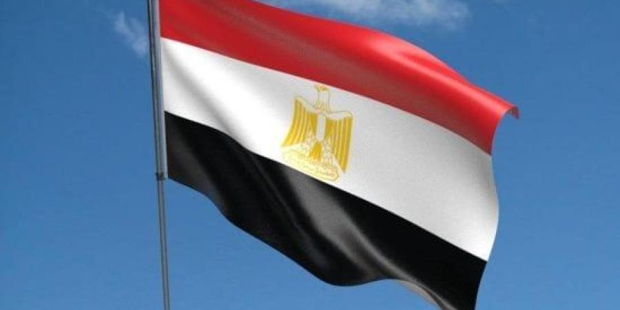 وزير الخارجية ورئيس المخابرات يسلمان رسالة خطية من فخامة الرئيس لخادم الحرمين الشريفين :اليوم السابع