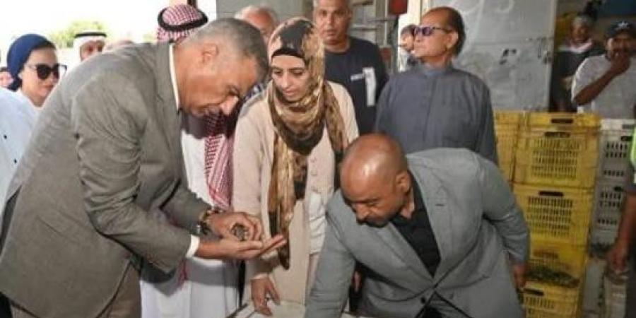 محافظ جنوب سيناء يتفقد معصرة زيت الزيتون بأبوصويرة في رأس سدر :اليوم السابع
