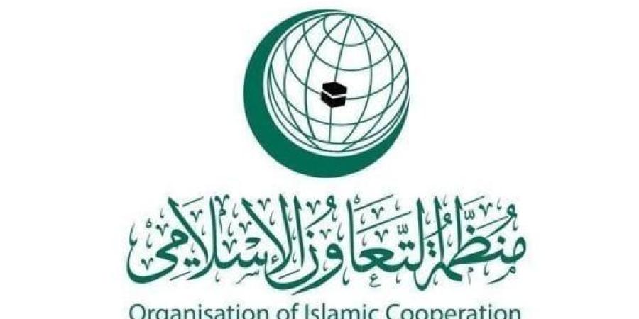 التعاون الإسلامي تقرر تأسيس المجلس الوزاري للأمن السيبراني :اليوم السابع