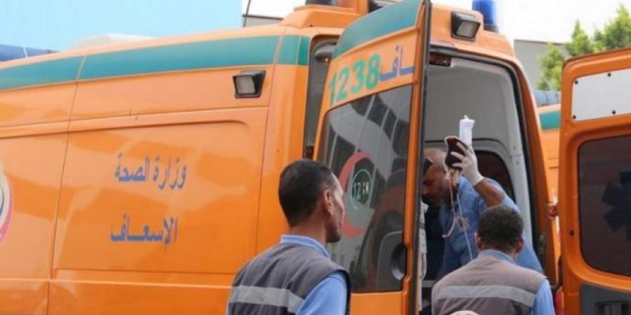 مصرع شخص وإصابة 6 في انقلاب سيارة ربع نقل بطريق أبو سمبل السياحي