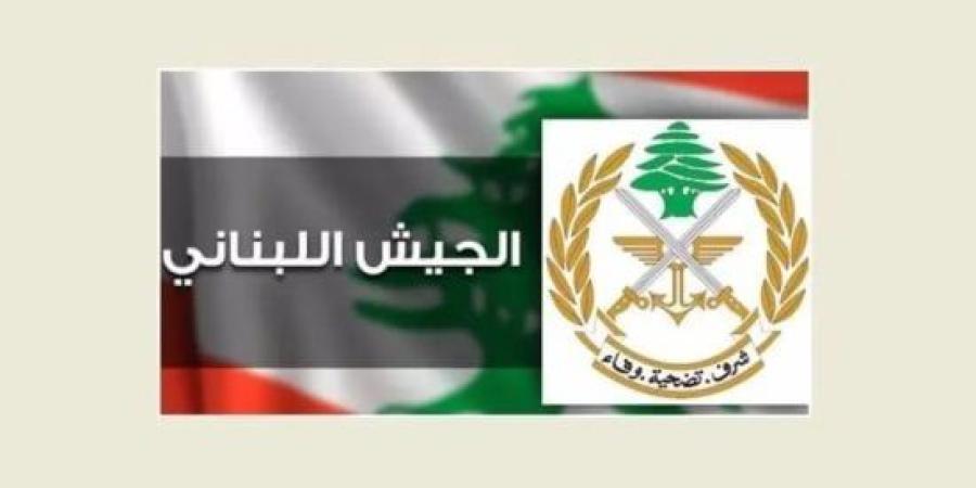 الجيش اللبناني يحبط تهريب أسلحة وذخائر من سوريا :اليوم السابع