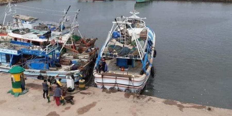 الحبس وغرامة تصل لـ500 ألف حال تعطيل أعمال الصيد بهذه الممارسات :اليوم السابع
