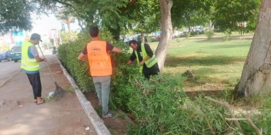 جهاز التطوير والتجميل يواصل رفع كفاءة الميادين والمساحات الخضراء بالإسماعيلية :اليوم السابع