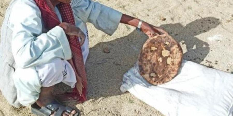 "القبورى" خبز الرعاة المدفون في الرمال وسر الوجبة السريعة بالأودية الجبلية.. صور :اليوم السابع