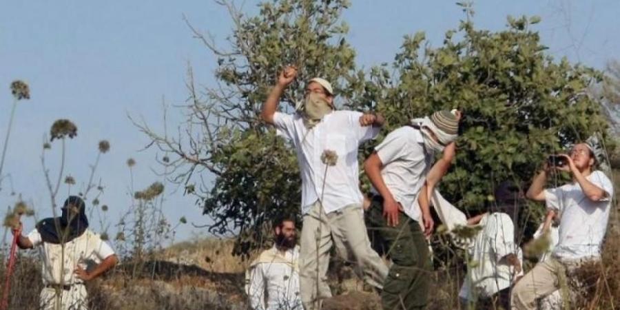 مستوطنون يحطمون نصبا تذكاريا للشهيدة شيرين أبو عاقلة جنوب جنين