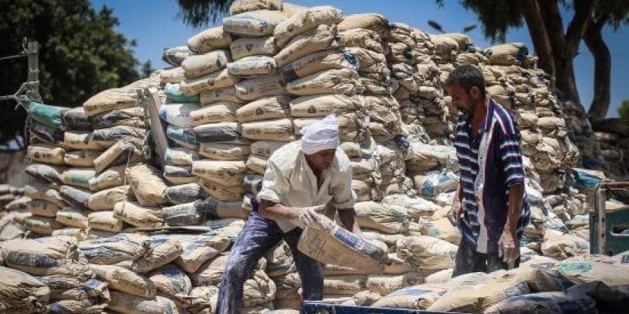 5.3 مليون طن في المخازن.. بيانات التموين تفجر مفاجأة عن سوق الأسمنت :اليوم السابع
