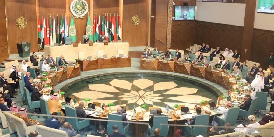 الجامعة العربية تستعرض نتائج دراستين لتقييم أثر لمبادرة الألف يوم الذهبية والخطة العاجلة للسكان في مصر